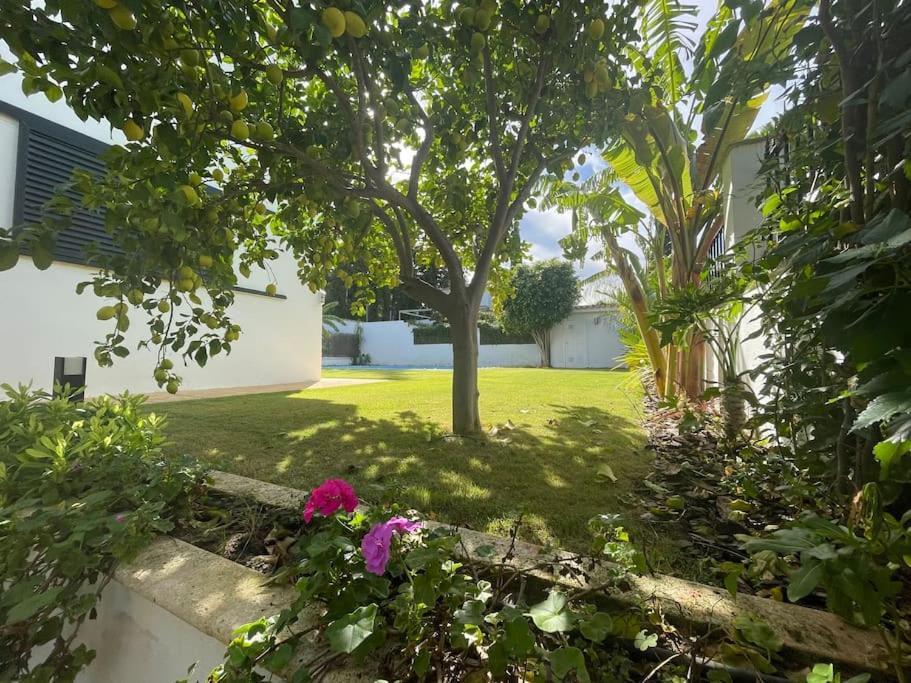 Sunset Arcos Holiday home *
