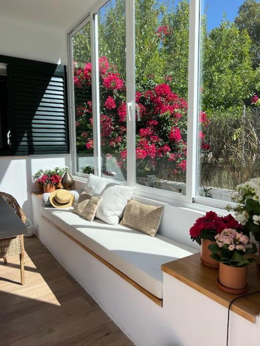 Sunset Arcos Holiday home